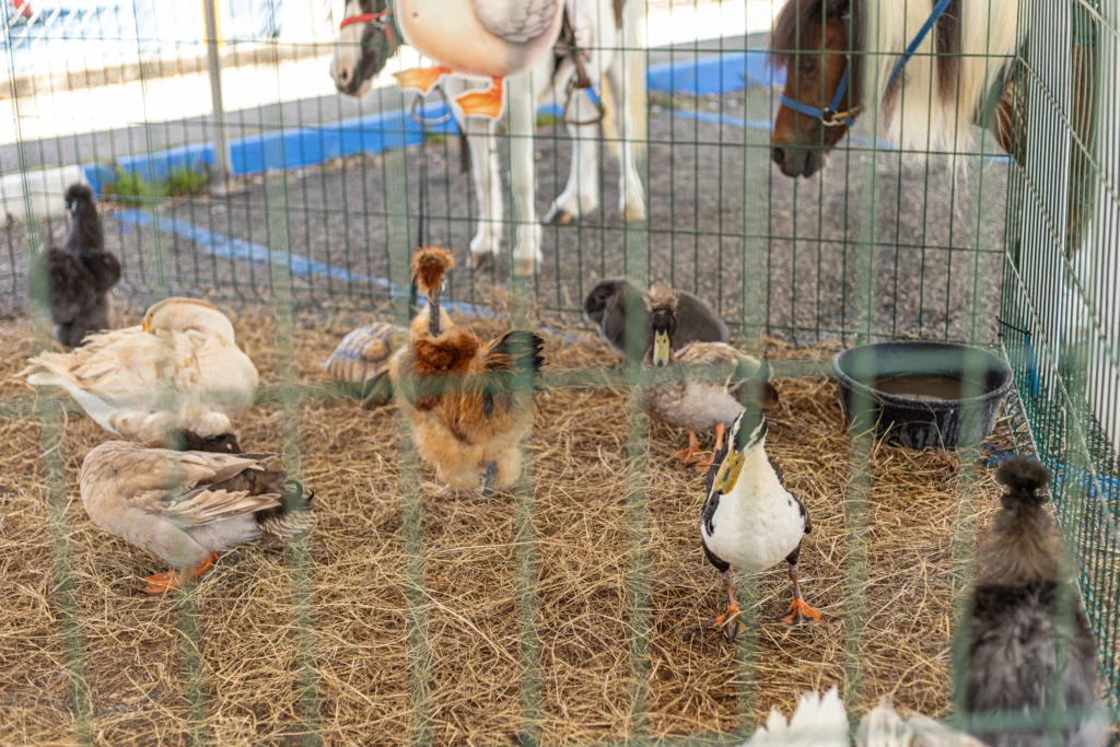 LarCoop5K2026-196-converted