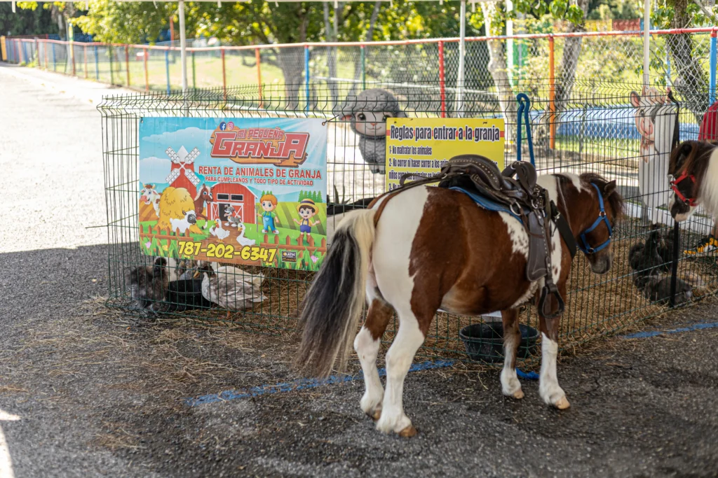 LarCoop5K2026-198-converted